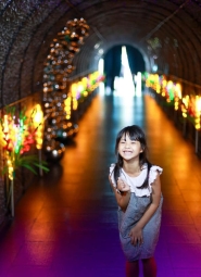 Lighting Art Museum & Balloon Garden