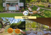 𝐊𝐚𝐧𝐜𝐡𝐚𝐧𝐚𝐛𝐮𝐫𝐢 – Vùng đất bình yên giữa núi rừng Thái Lan