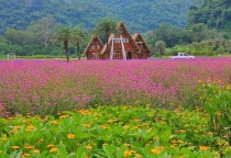 THÁI LAN: BANGKOK – KHAO YAI – NAKHON NAYOK