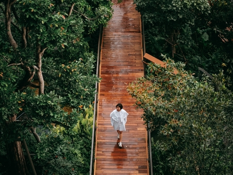 Dusit Arunee Garden – Ốc đảo xanh mới giữa lòng Bangkok!